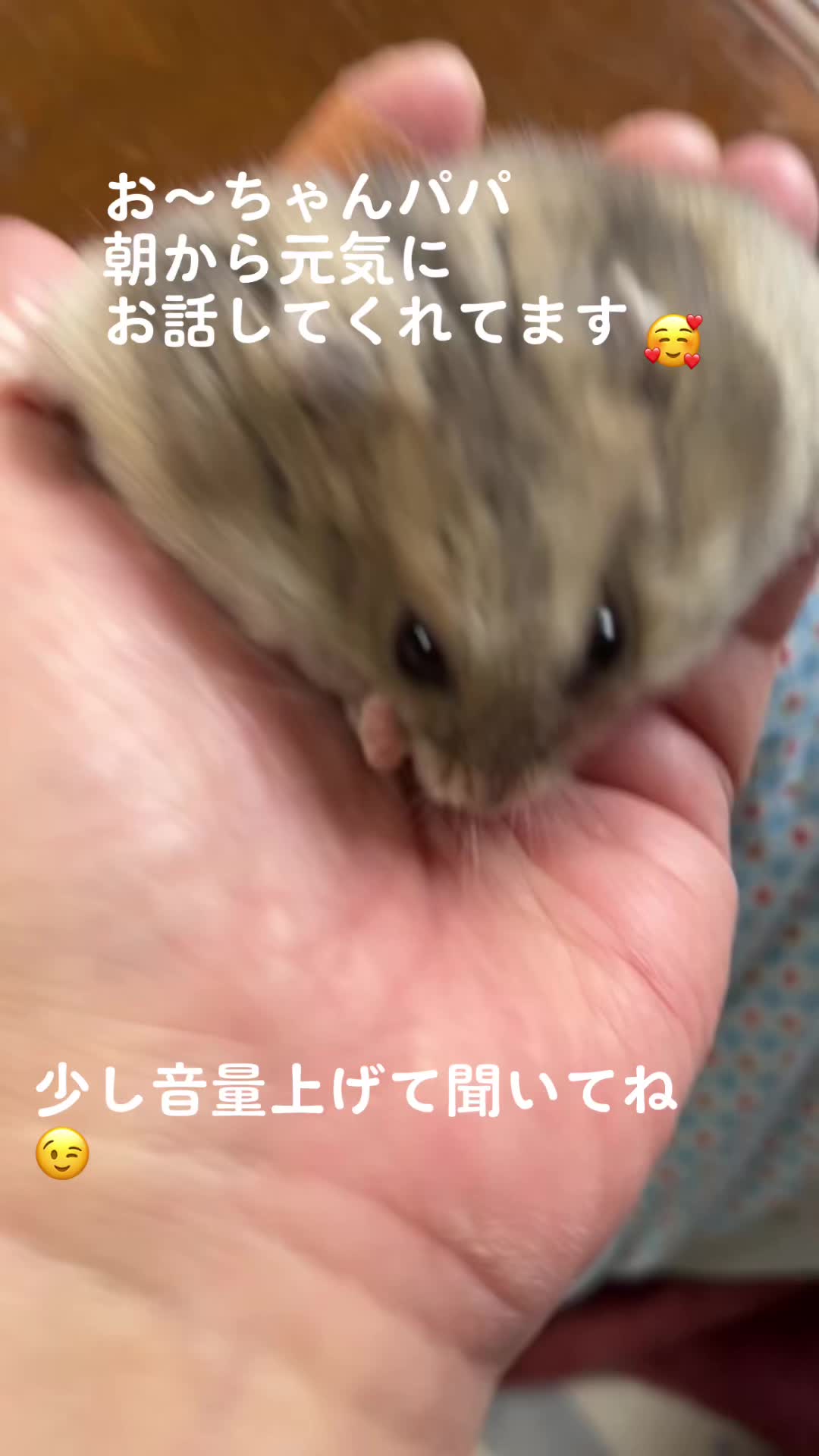@big mama 🐹🐕