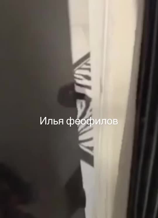 @kazu