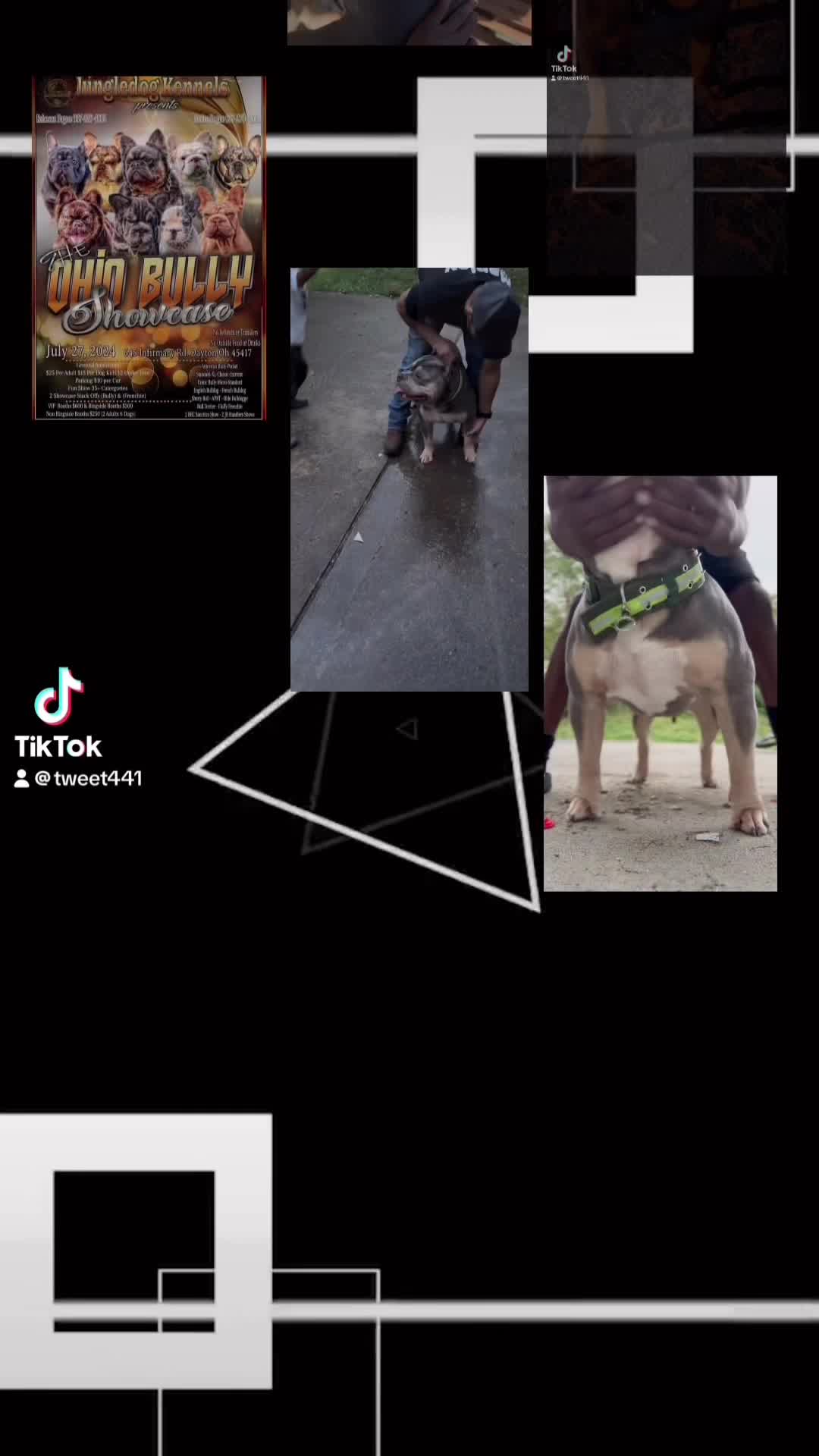 @D3 tri State kennel