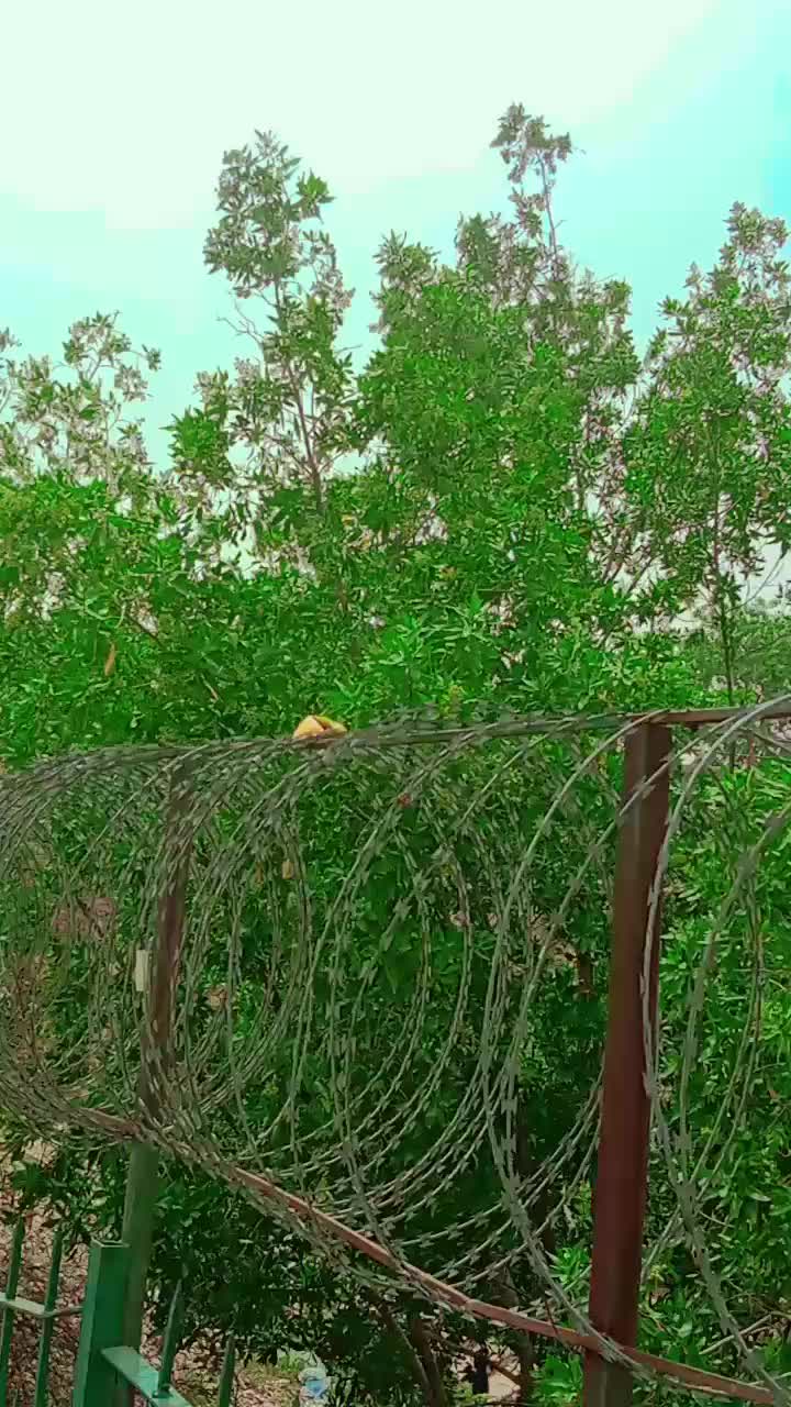 @user00425752102