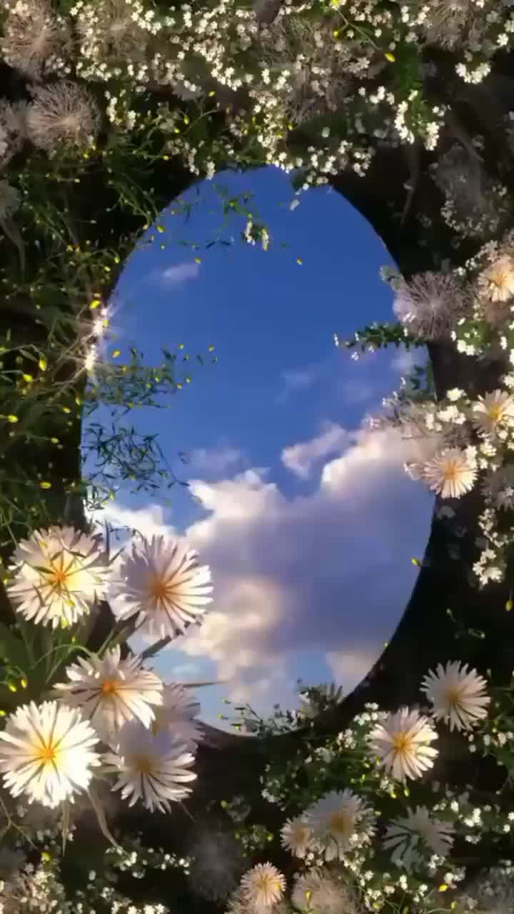 @ninareg55