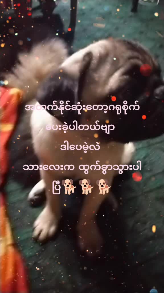 @Aung Paing Soe