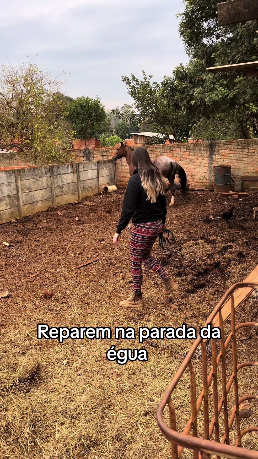 @Edina Lacerda