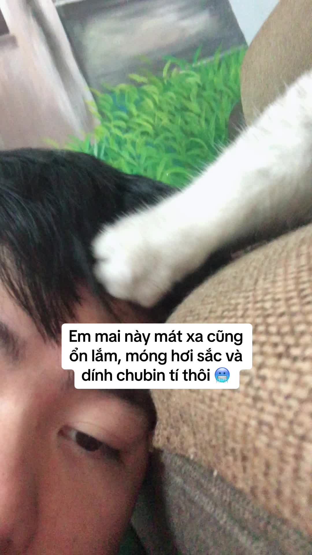@Ốc Và Con