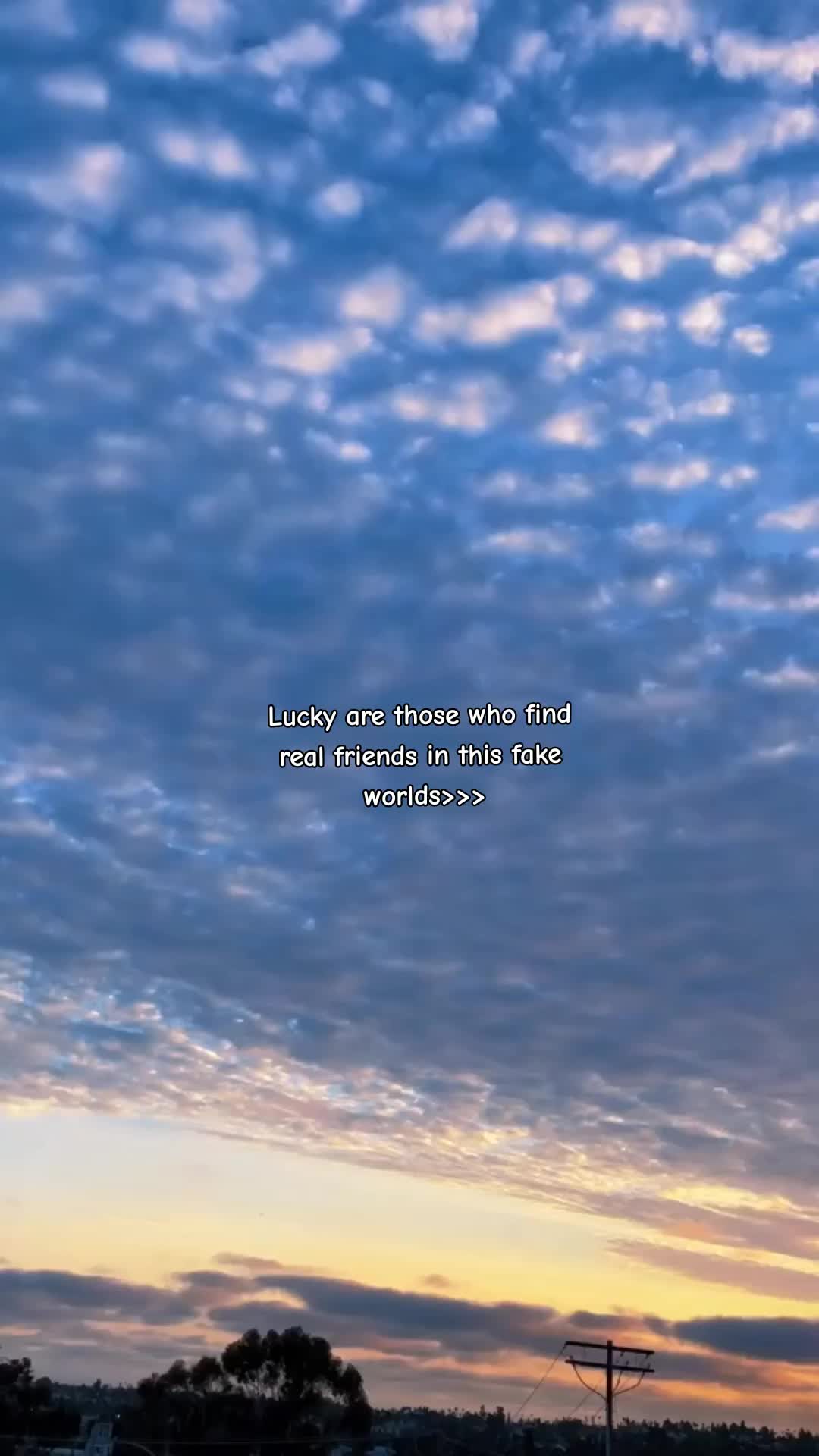 @🌷