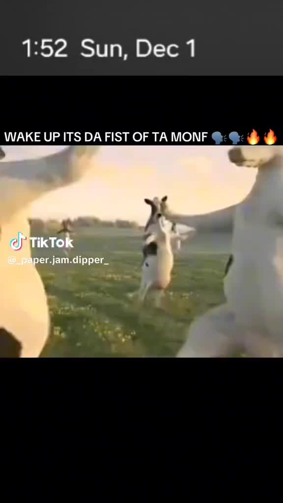 @King_Fishymon69420