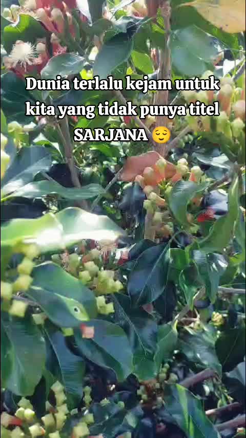 @โ๏ธ๐
ฑ๐
ฐ๐
ฝ๐
ถ ๐๐
ธ๐
ป๐
ปโ๏ธ