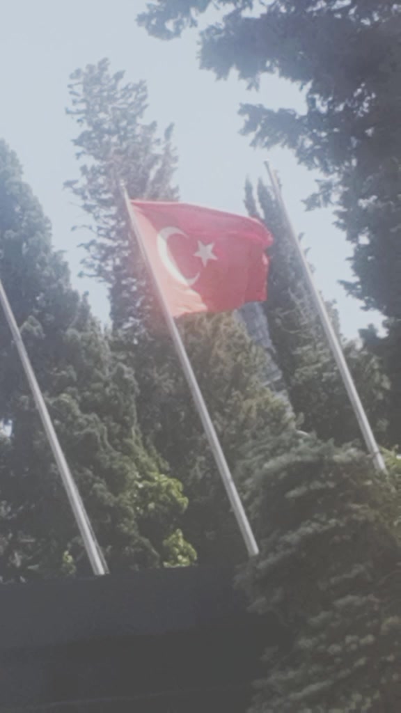 @Derya Bicer