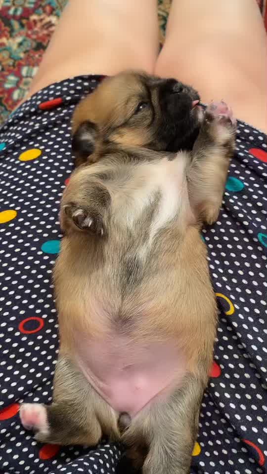 @Мулатка_грузинка💖🇬🇪🇦🇿🇧🇾