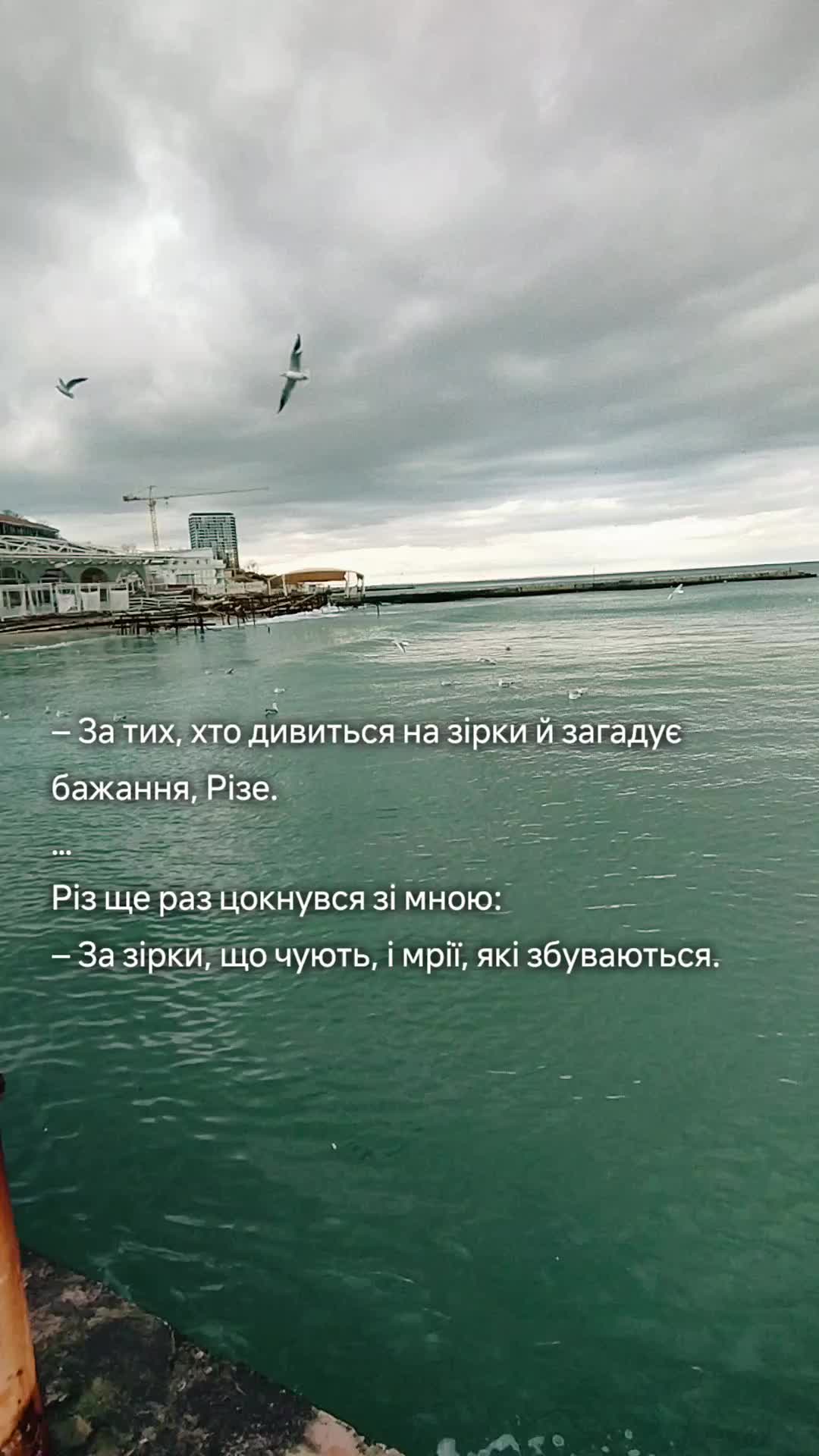 @Лілія🇺🇦