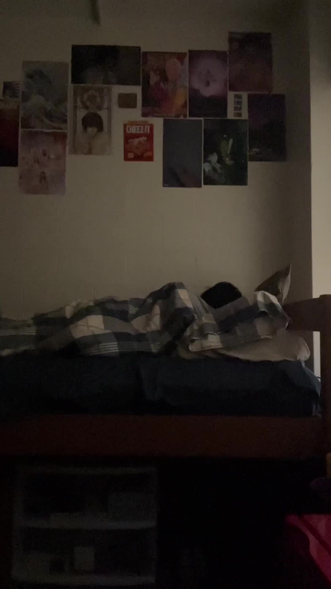@adi🤠🗿