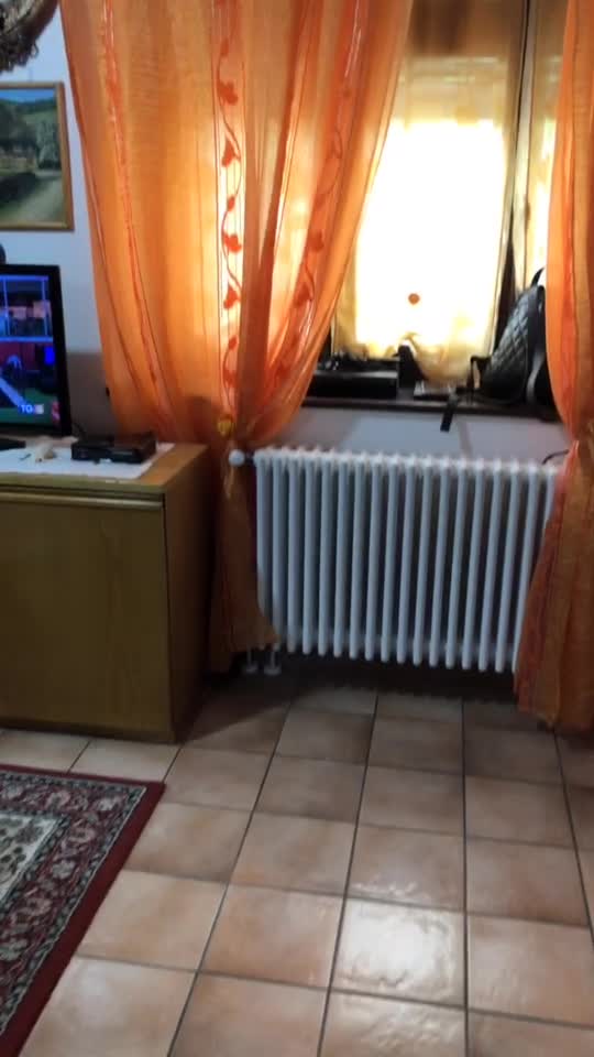 @Eu.geggia