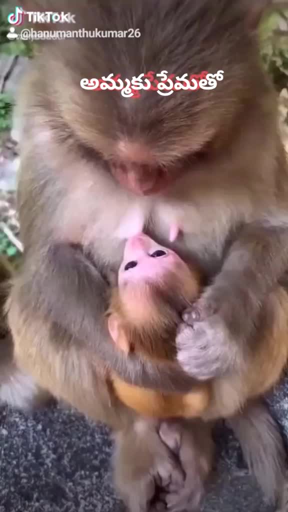 @Hanumanthu Kumar's