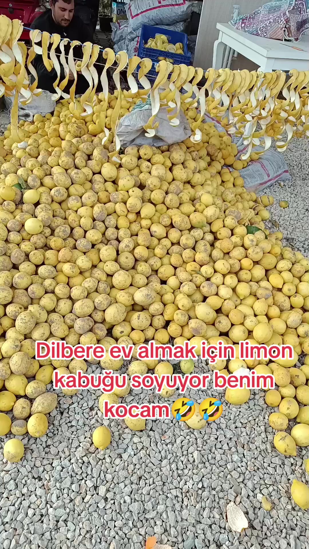 @şeyma akdemir