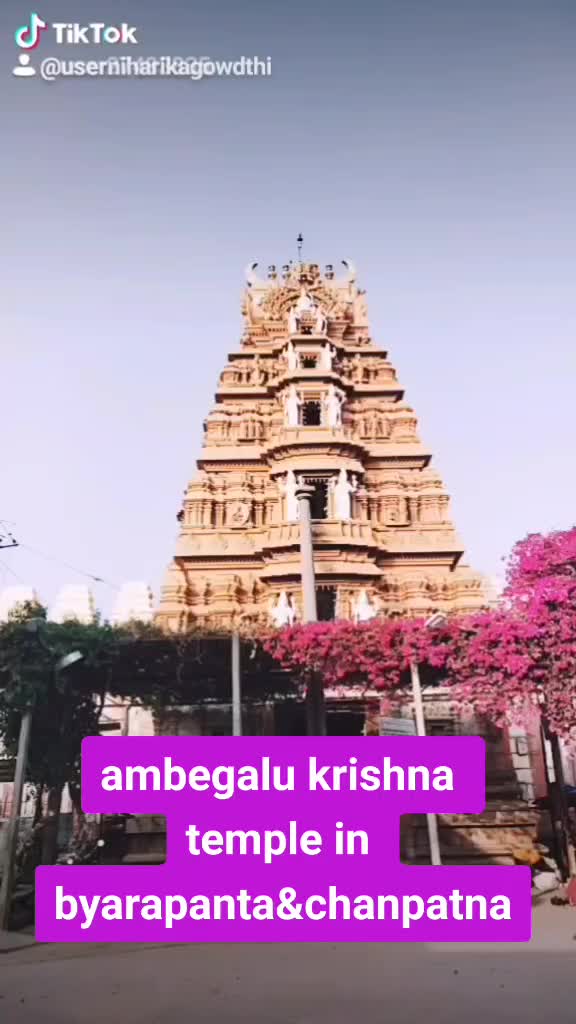 @niharikagowda