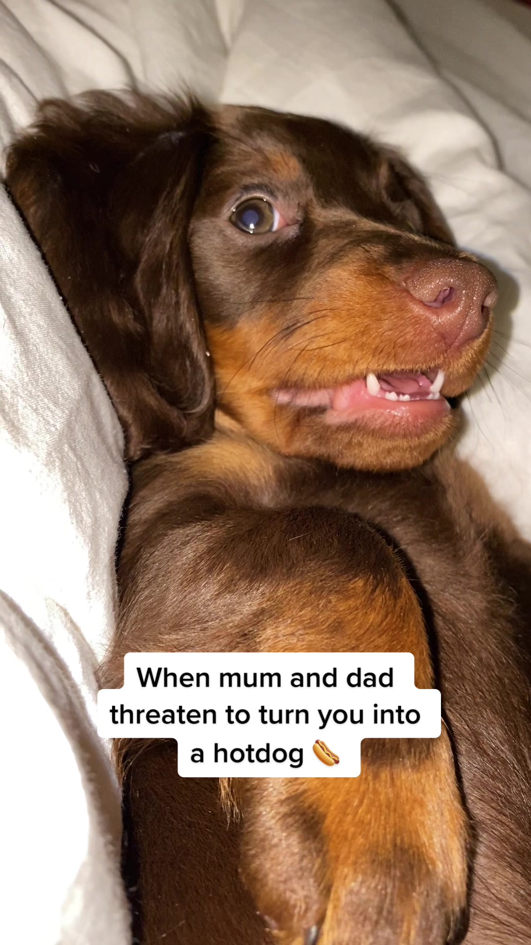 @billieandblu