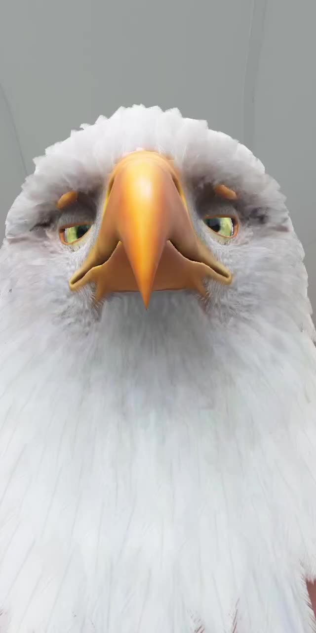 @Mzwah