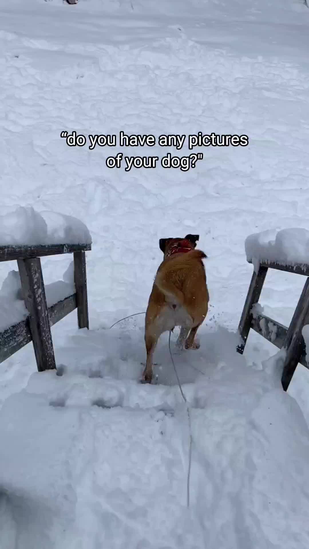 @Dani🇨🇦