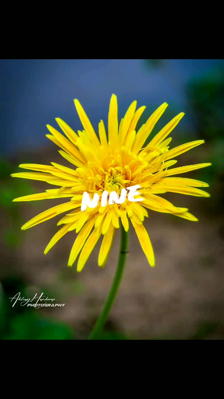 @AkshayAchuzz