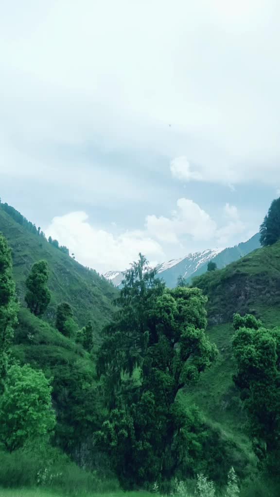 @Pooja Khadka