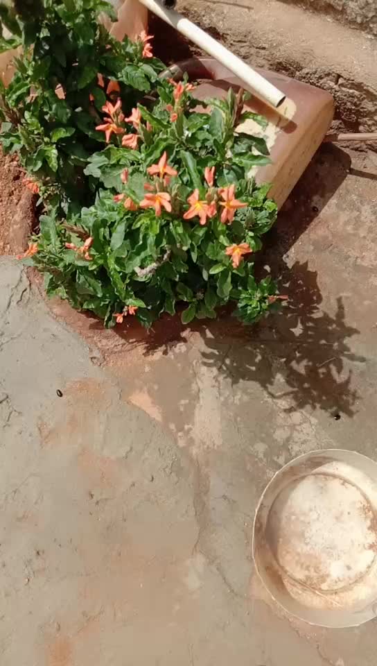 @k.venu Kumar kallaluram