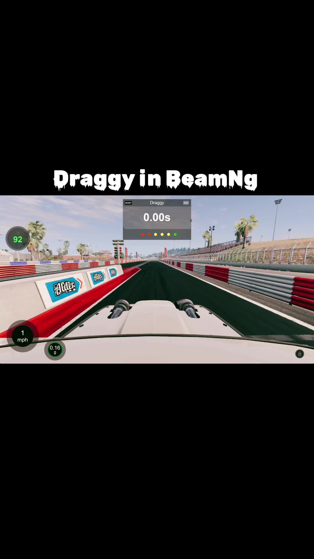@Silly Goose Racing