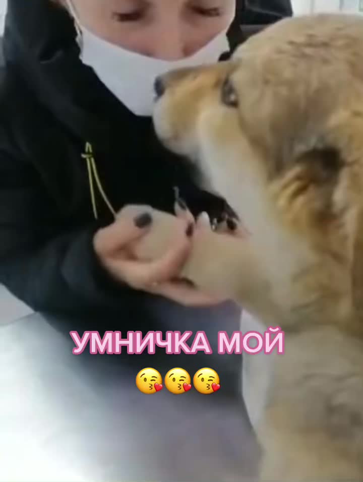 @КАРДАН ЖИВИ