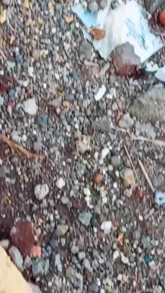 @deepya_Vibhute_007
