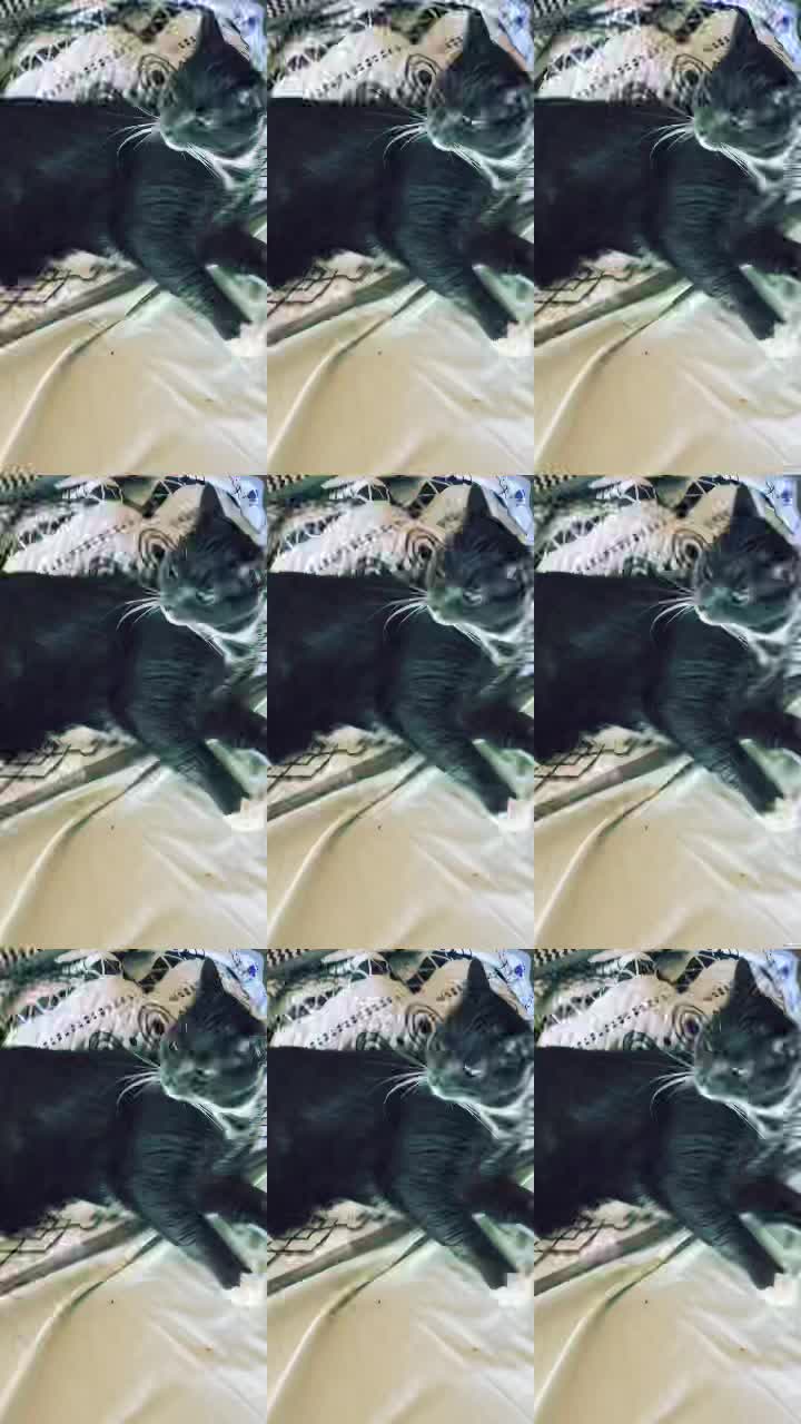 @Grayartcat