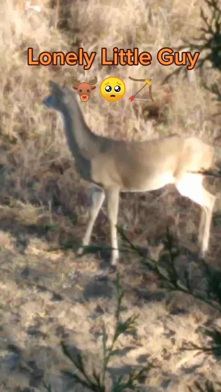 @Michael G