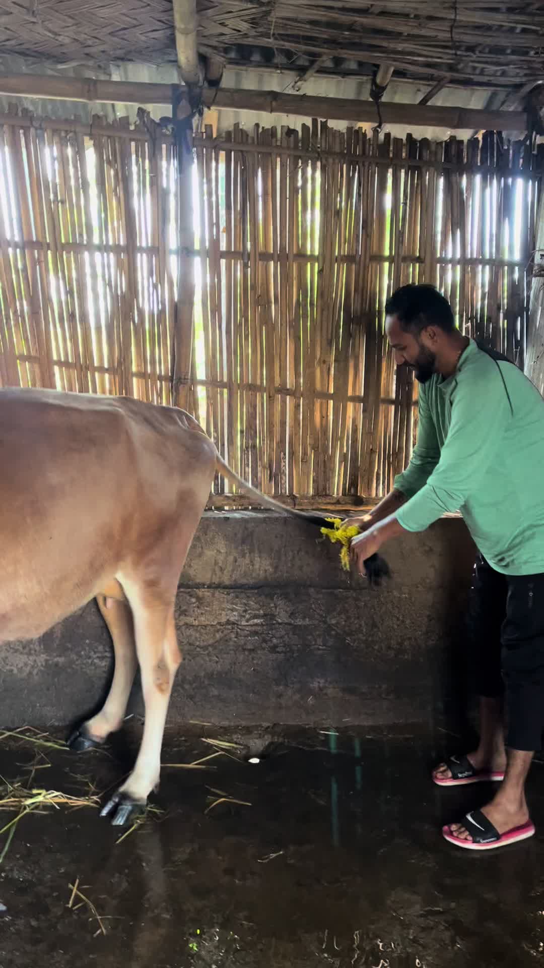 @Raju Siwakoti