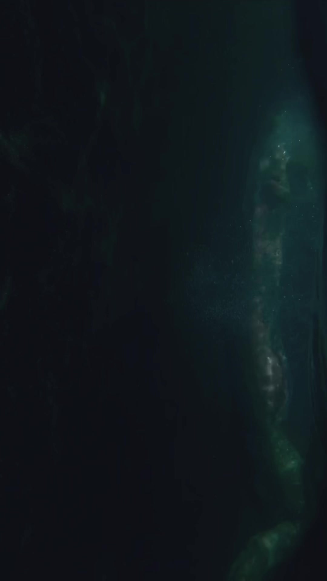 @kurague🐟