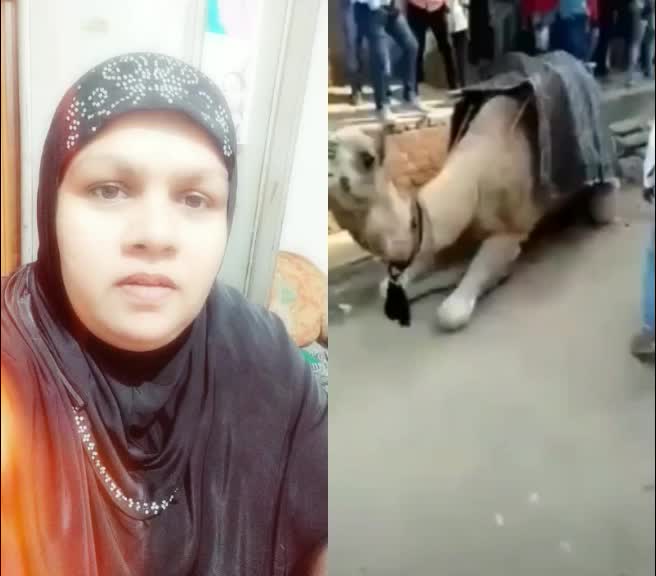 @nikhatnaz7867