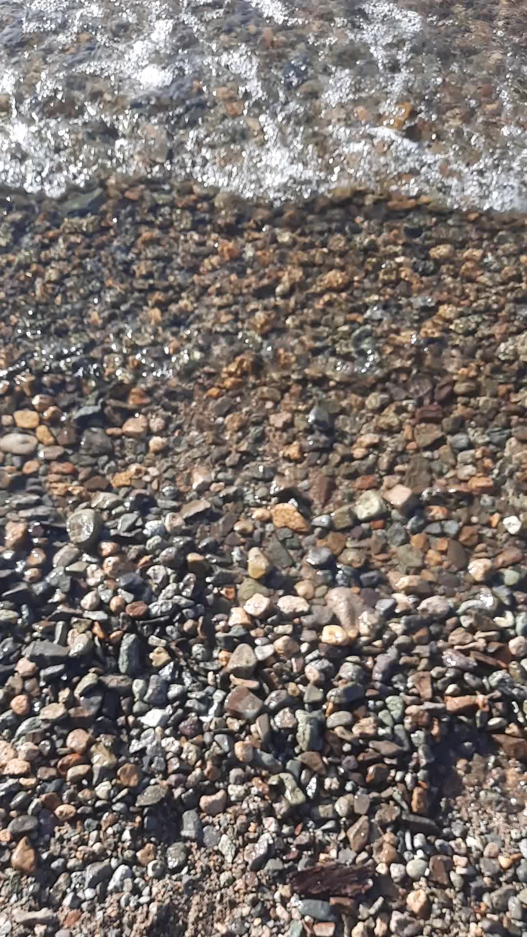 @lunalopardo