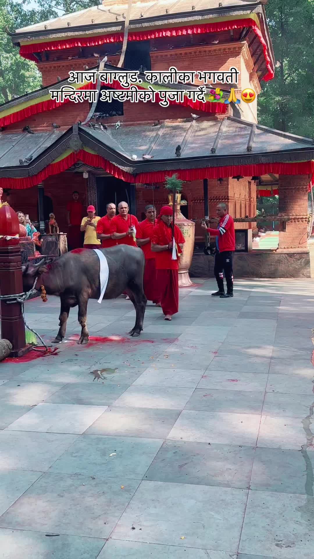 @Tulasi.khadka