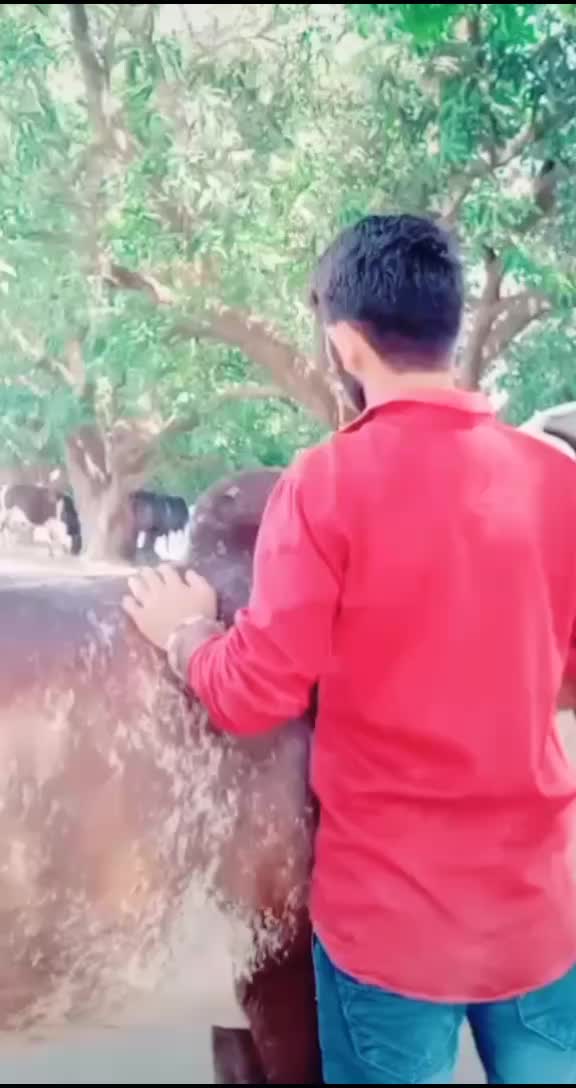 @KaNøØ_BHaRWaD_8699