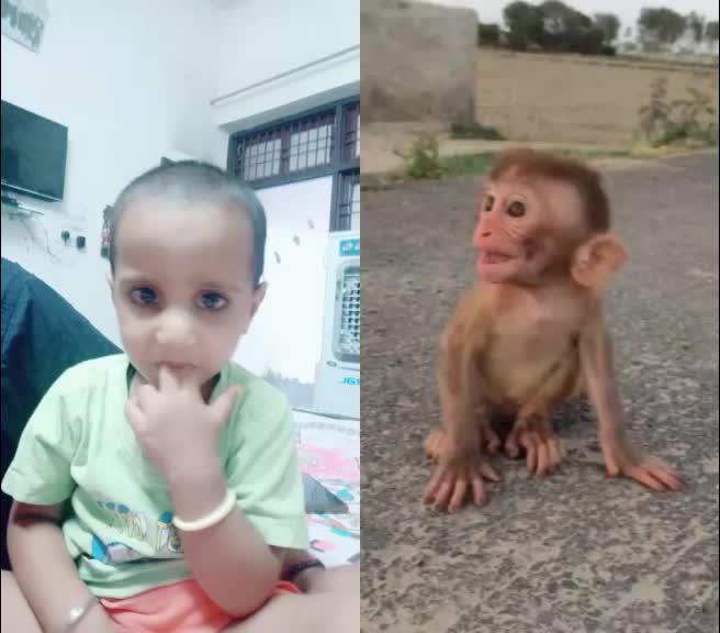 @vikasjai