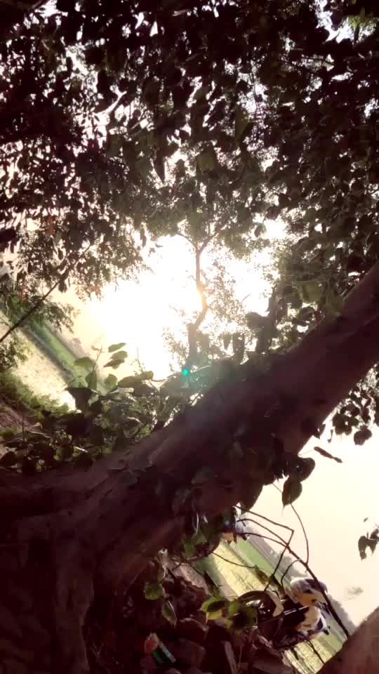 @Parba gill