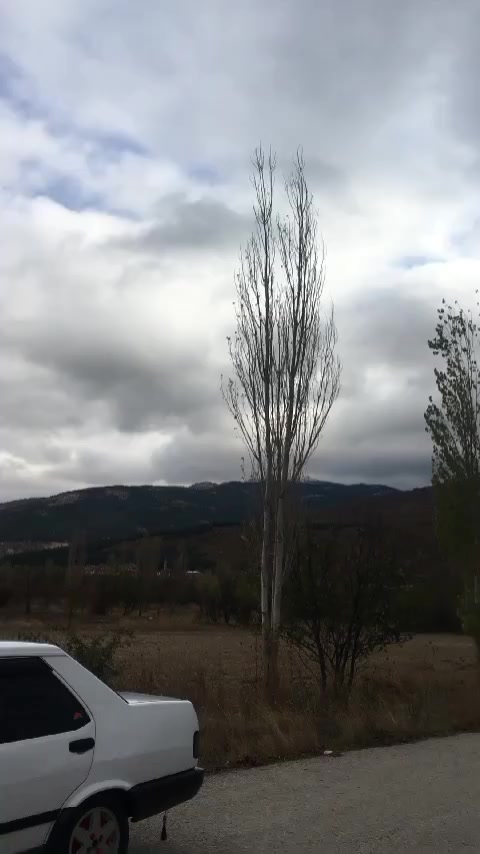 @Kaan &ccedil;aglak