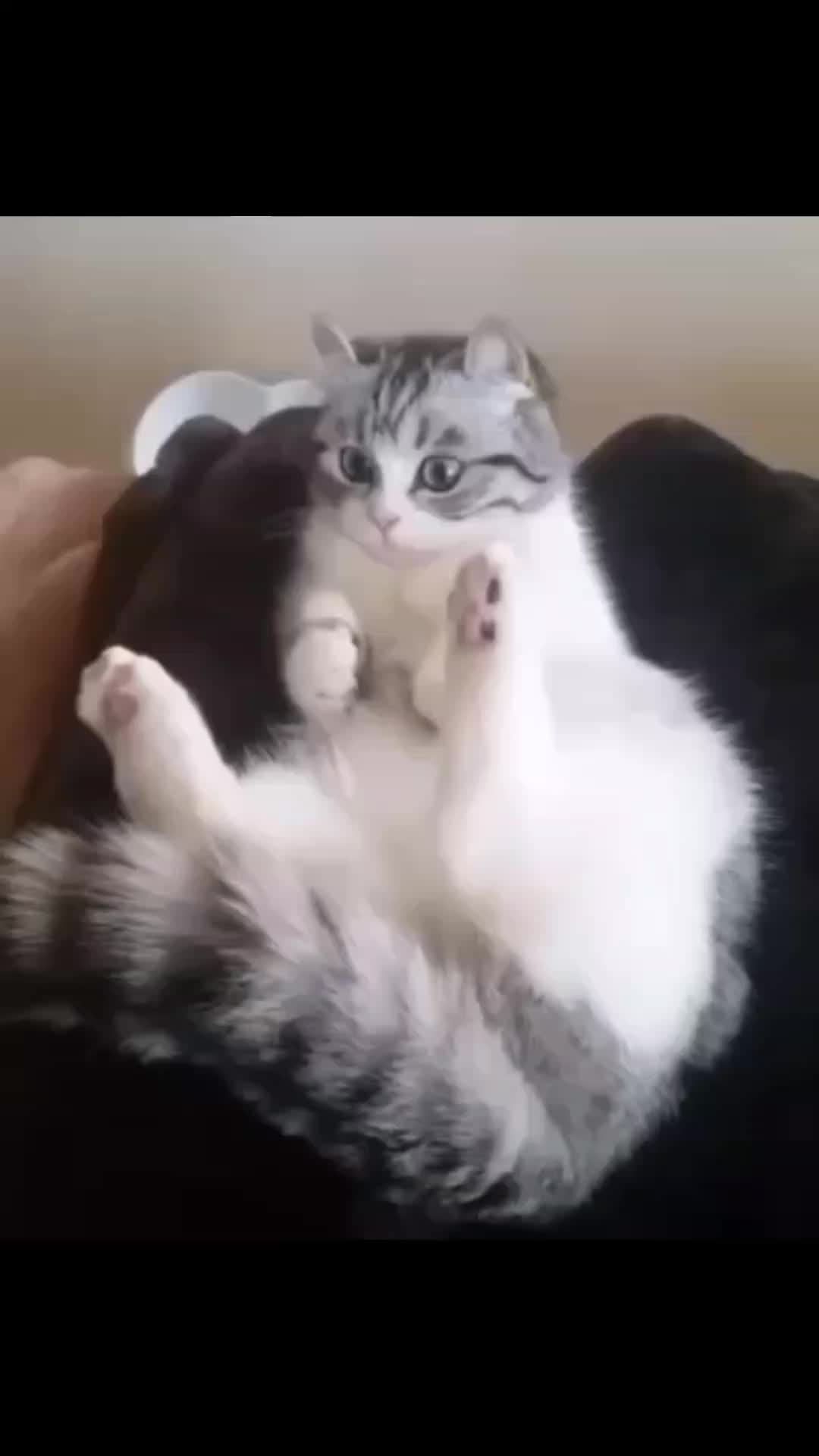 @гифки с комару