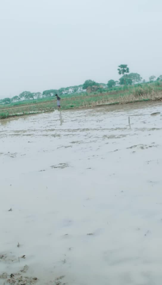 @sawan. kr