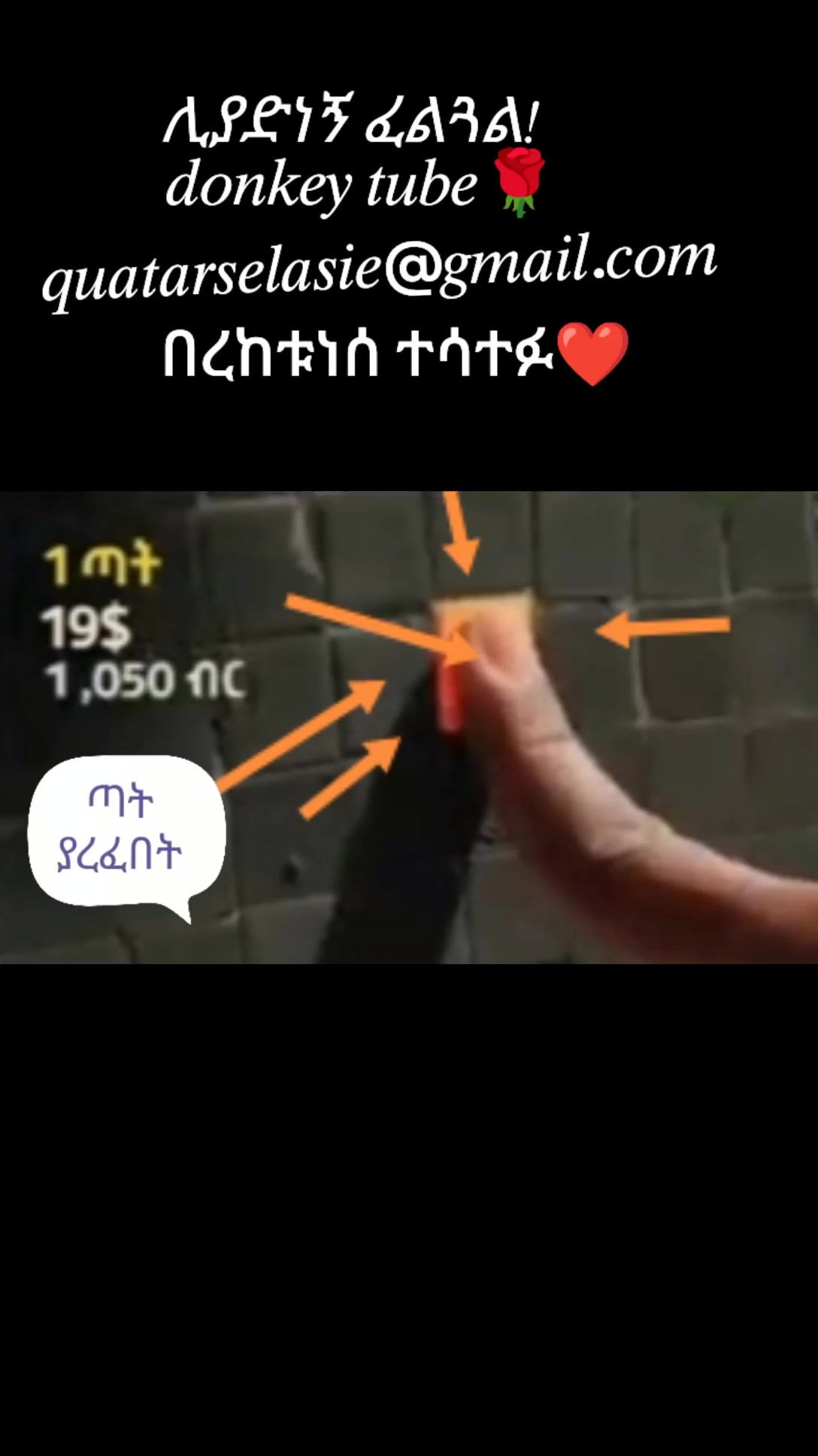 @አፀደ ማርያም የድንግል ልጅ