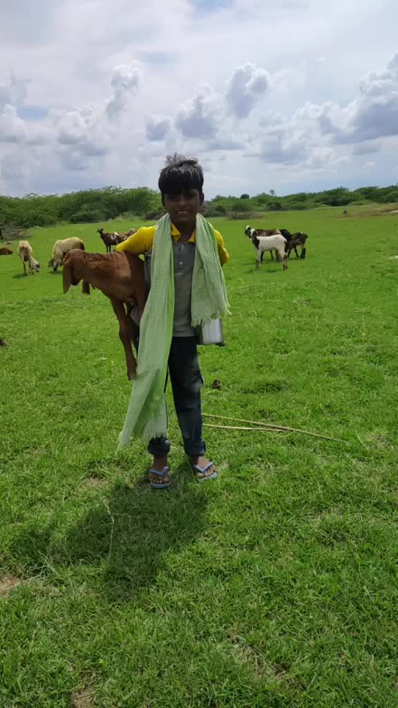 @rajutadichettu@gmail