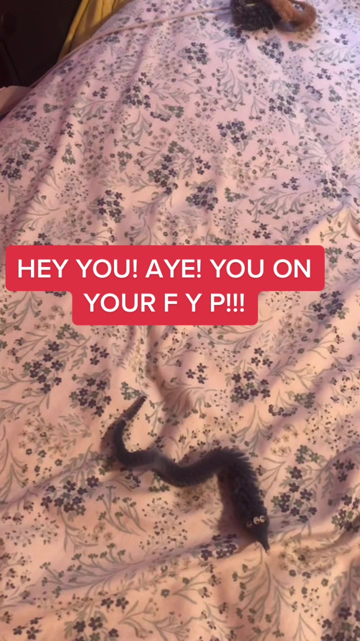 @✨So Cool Worms✨
