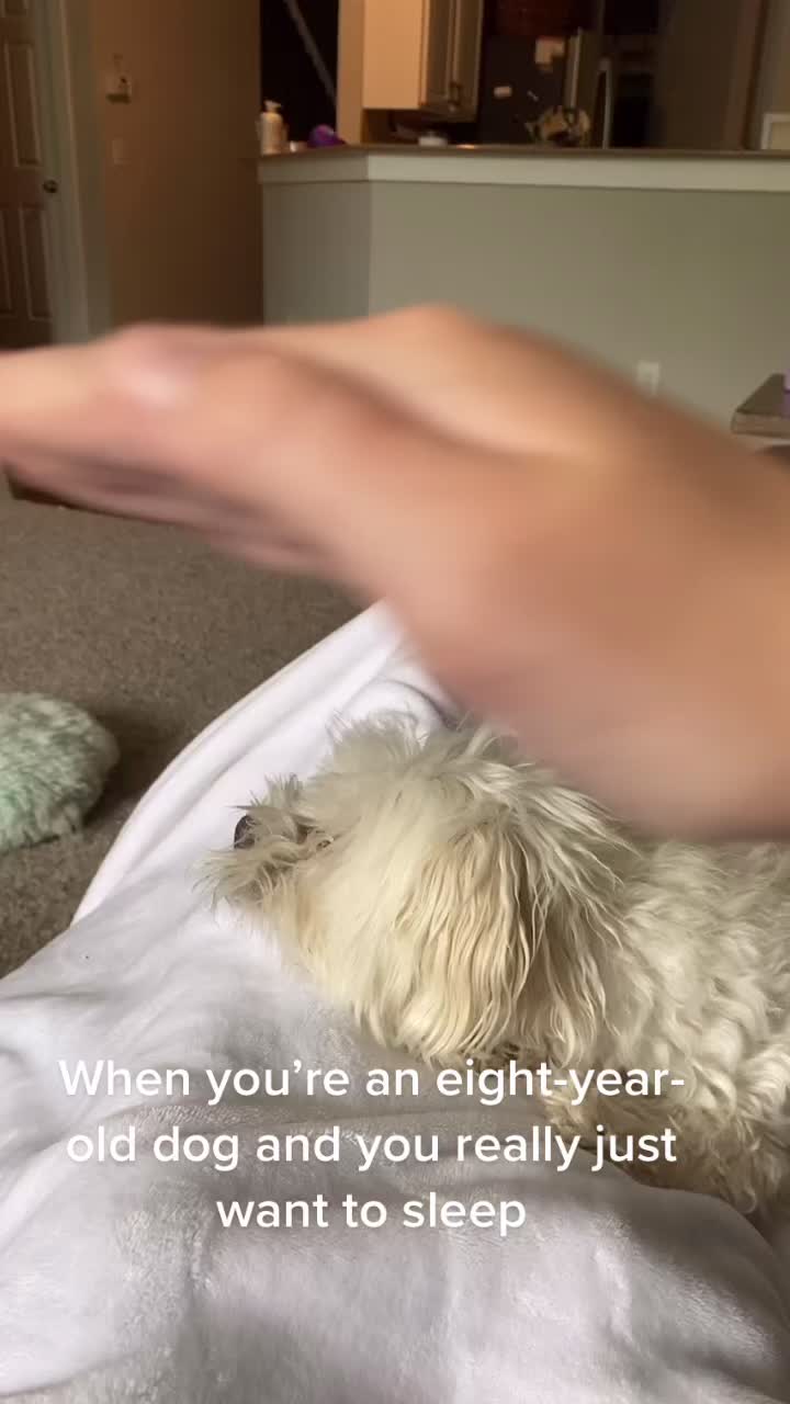 @Just a girl and her dog