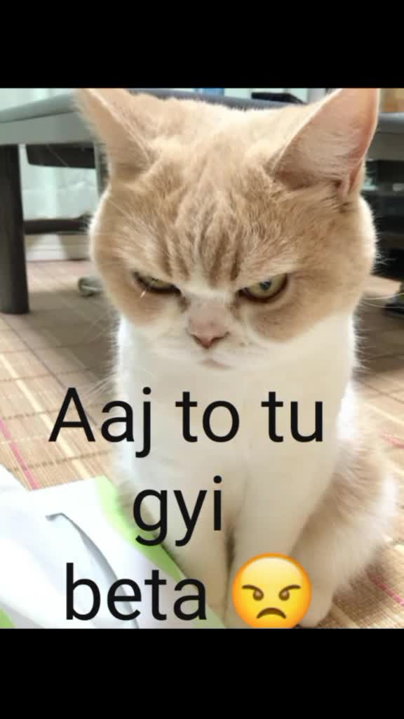 @Cuteepratiksha