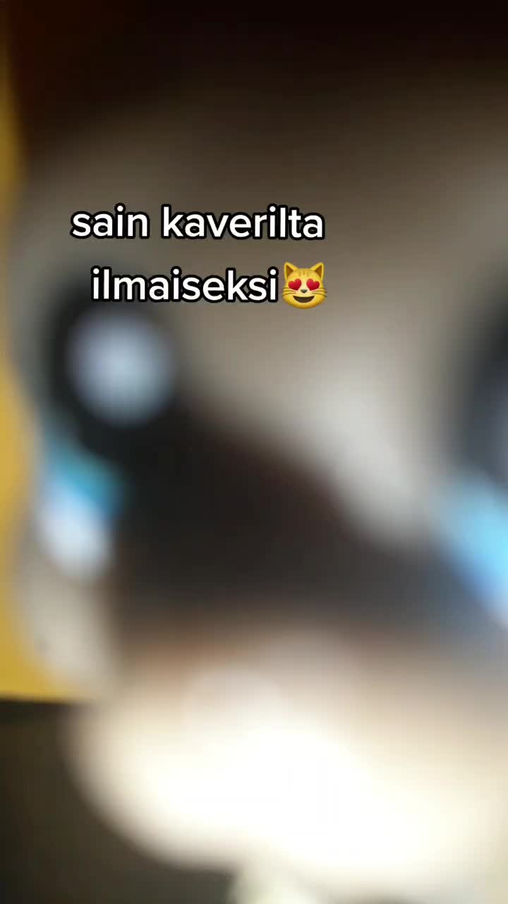 @🌟lps nakki🌟