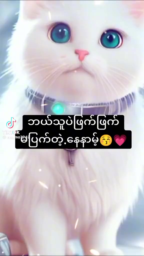 @user5122294412162