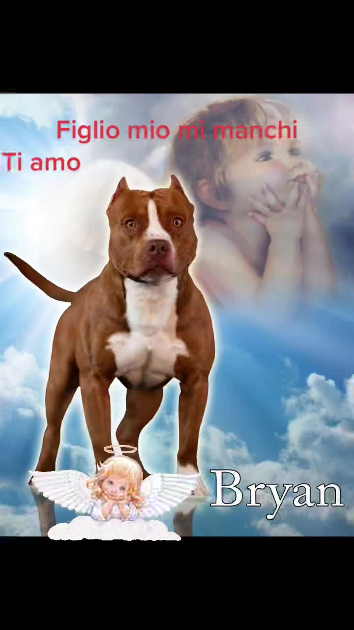 @terremoto 93 🇧🇷