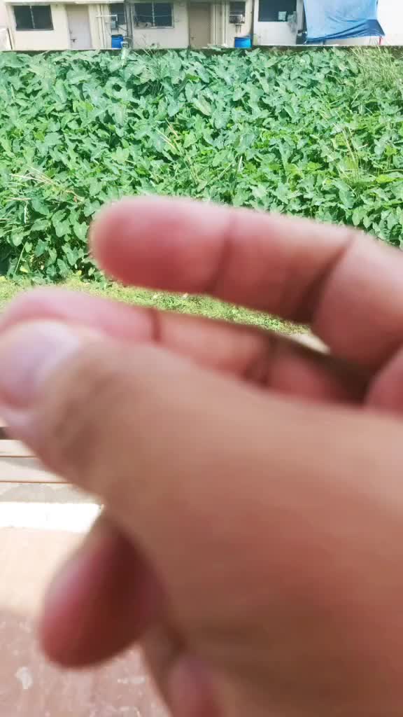 @Kuldip Savaratkar